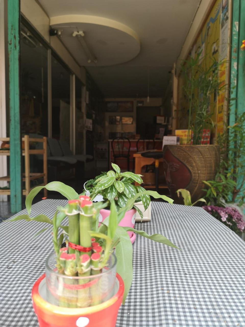 צ'יאנג ריי Sofia Hostel מראה חיצוני תמונה