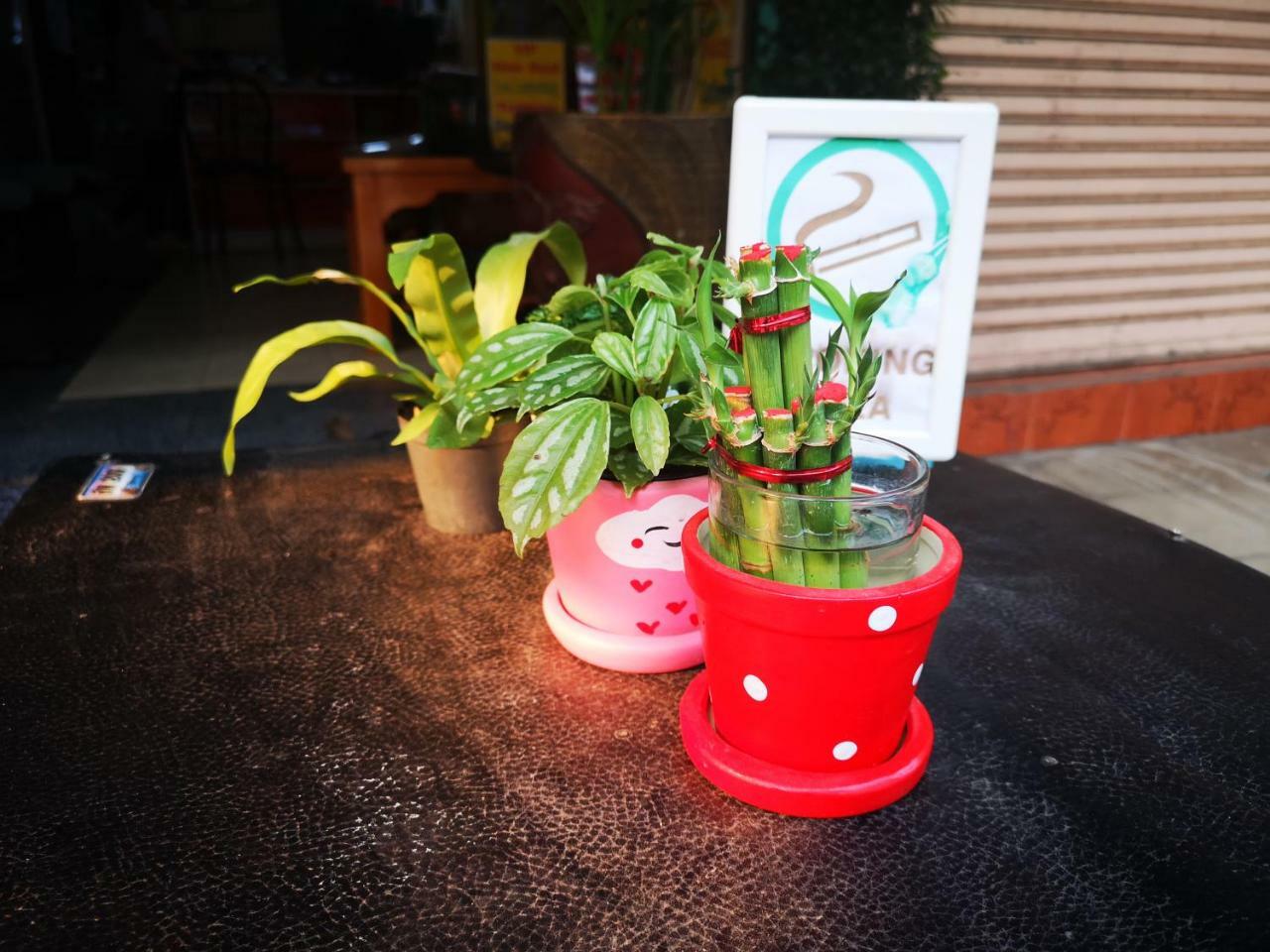 צ'יאנג ריי Sofia Hostel מראה חיצוני תמונה